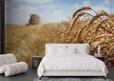 Wheat harvest Wall mural