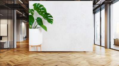 Flower pot with plant on grunge wall background with space Wall mural