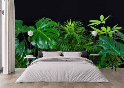 Green leaves of tropical forest plants on black background Wall mural