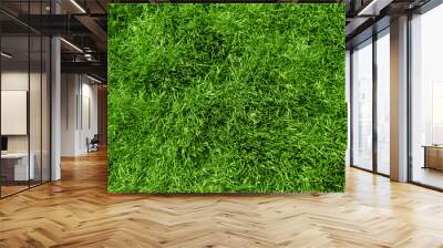 Grass Wall mural