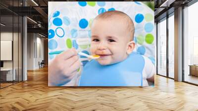 Adorable smiling cute baby eating mash Wall mural