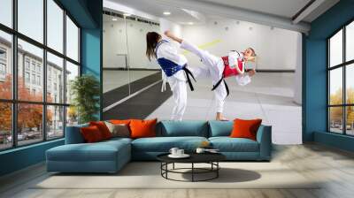 Protective gear in martial art sparring Wall mural