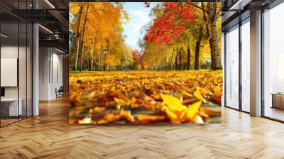 Beautiful yellow red and orange leaves in an autumn park Wall mural