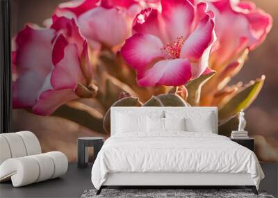 pink cactus flower Wall mural