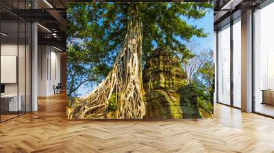 Ta Phrom Temple, Angkor Wat, Cambodia Wall mural