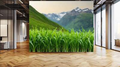 landscape with grass, green grass, vegetable turf in the mountains Wall mural