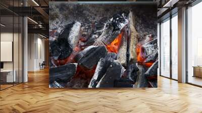 Macro closeup of red-hot coal on the barbecue. Flames of fire, coal, ember and smoke. Wall mural