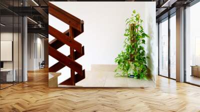 Plants pots on stair interior of room Wall mural