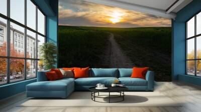 Puesta de sol Wall mural