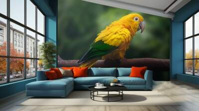 Golden parakeet bird (Guaruba guarouba) Wall mural