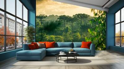 sunset with Araucarias and jungle Wall mural