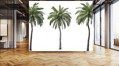 set of palm tree cut out  Wall mural