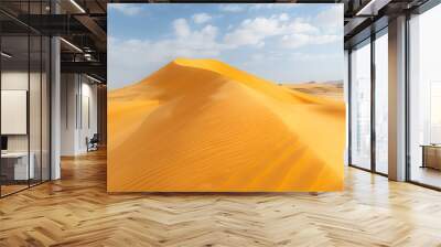 graceful and flowing curves of sand dunes highlight their organic shap Wall mural