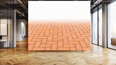 Paver brick floor also call brick paving, paving stone or block paving. Manufactured from concrete or stone for road, path, driveway and patio. Empty floor in perspective view for texture background. Wall mural