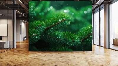 Christmas green tree branch. Christmas green fir and pine tree branches Wall mural