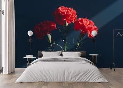 Red carnations on black background Wall mural