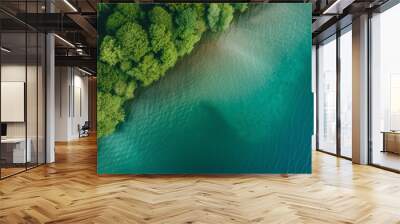 summer  background Wall mural