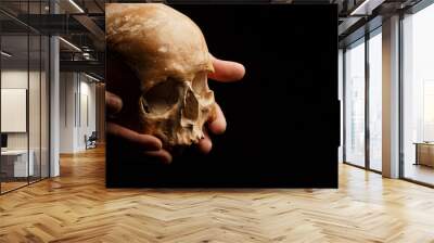 hand holding a skull is isolated on black background Wall mural