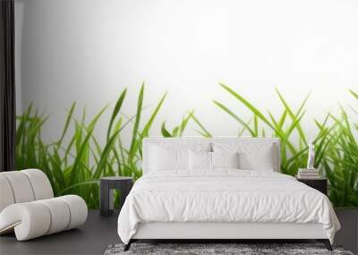 Hi Resolution image of Fresh green grass isolated against a white background, Generative AI Wall mural