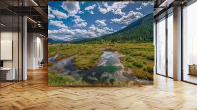 beautiful nature landscapes near yellowstone national park Wall mural