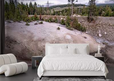 hot spring and geiser in yellowstone national par Wall mural