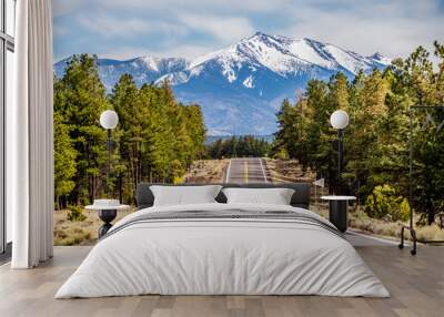 landscape with Humphreys Peak Tallest in Arizona Wall mural