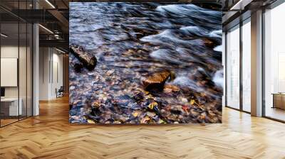 mountain river stream in north carolina mountains Wall mural