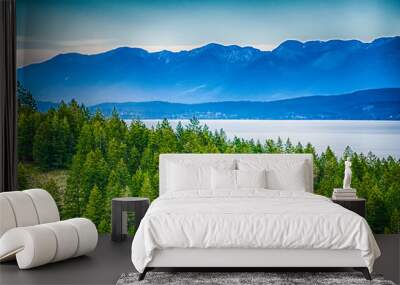 nature and scenes around flathead national forest montana Wall mural