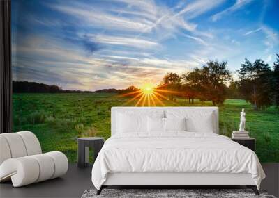 sunset on south carolina farm land Wall mural