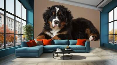 The image shows a young Bernese Mountain Dog puppy lying down with its front paws extended forward. It has a black coat with distinctive white and tan markings on its face, chest Wall mural