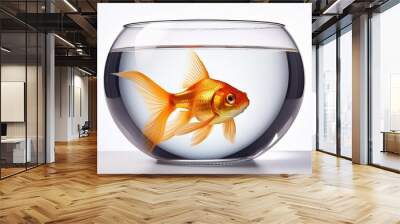 gold fish in a bowl Wall mural