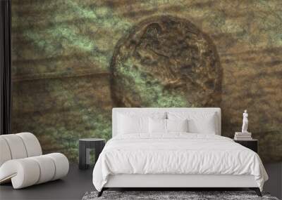 3D vintage metal work- antique metal. Corrosion background- pattern abstract Wall mural