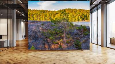 Travel to Russia. Ladoga skerries- hiking on the lake. Nature landscape- national park Wall mural