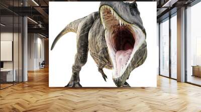 a tyrannosaurus rex attack on an isolated white background . 3d rendering Wall mural