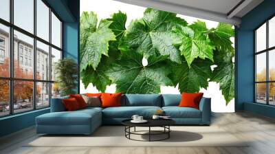 Wild Grape Leaves Isolated, vibrant green grape vine leaves on a high-resolution  Wall mural