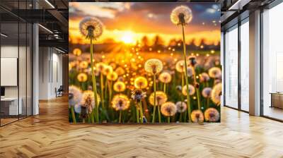 As the sun sets, a serene dandelion field sparkles with bokeh, effortlessly showcasing the understated beauty of Wall mural