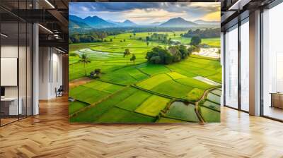 Breathtaking aerial view of vibrant green paddy rice fields in rural India, Tamil Nadu, showcasing intricate farming patterns, irrigation systems, and serene natural beauty. Wall mural