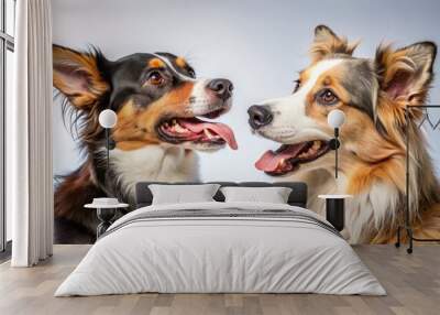 Two dogs hold a spirited discussion, their body language speaking volumes as they stand shoulder to shoulder, ears Wall mural