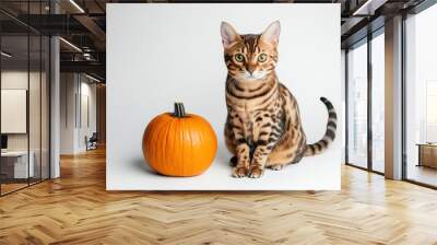 A majestic Bengal cat sits beside a small orange pumpkin on a white background Wall mural