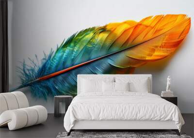 Colorful parrot feather on white background
 Wall mural