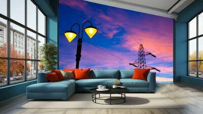 electricity pylon and streetlamp at sunset Wall mural