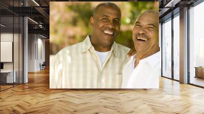 African American father and his adult son. Wall mural