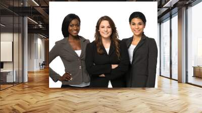 Diverse group of business women. Wall mural