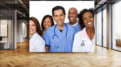 healthcare provider. Wall mural