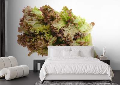 Coral salad - Lola Rosa Wall mural