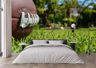 The brown ball for football is displayed on the short green grass. Threes are visible in the background Wall mural