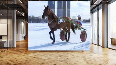 horse racing jockey, winter race trot on the racetrack Wall mural