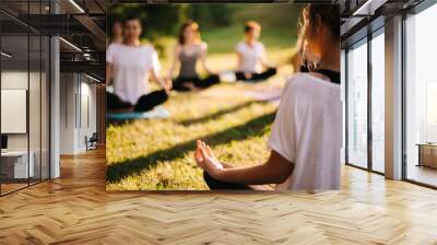 Group of young sporty woman practicing yoga lesson with instructor, sitting in lotus pose. Focus of camera at teacher rear view. Photo from back of instructor. Group of meditating people in background Wall mural