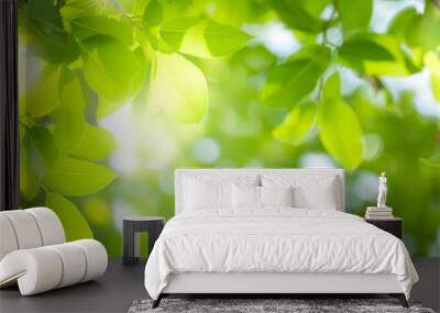 close up beautiful view of nature green leaves on blurred greenery tree background with sunlight in  Wall mural