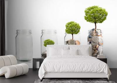 Money coins and tree growing in jar. Profit on deposit in bank and dividend for stock investment concept. Wall mural